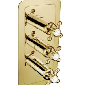 Grosvenor Cross Concealed Thermostatic 2 Outlet Valve Vertical - Antique Brass