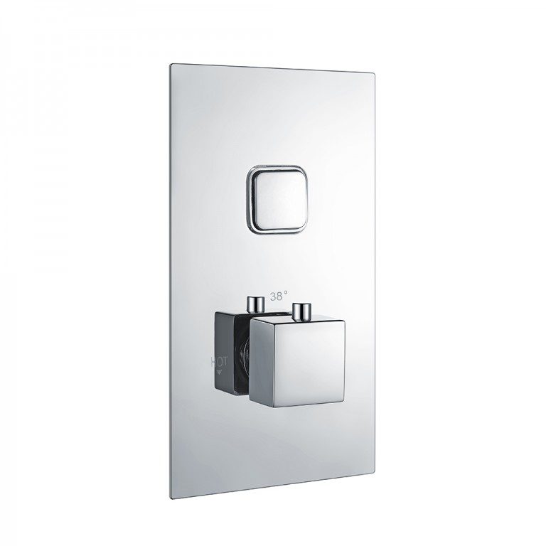 Square Concealed Thermostatic Single Push But.Shower Valve