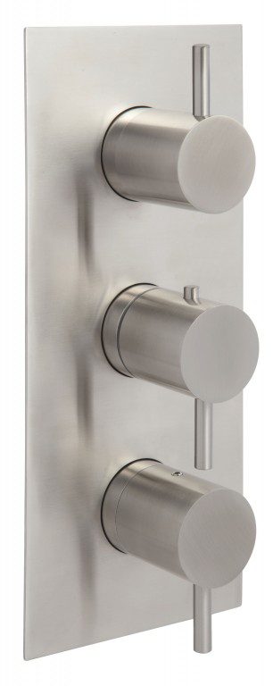 Inox Thermostatic Concealed Shower Valve 2 Outlets Vertical